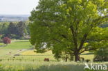 Landgoed Klarenbeek