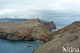 Madeira