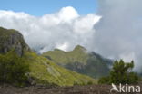 Madeira