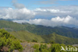 Madeira