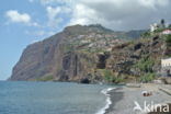 Madeira