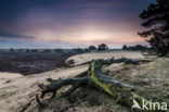 National Park Drents-Friese Wold