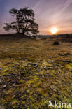 Nationaal Park Drents-Friese Wold