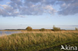 Nationaal Park Lauwersmeer