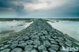 Nieuwe Bildtdijk
