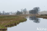 Nieuwkoopse Plassen