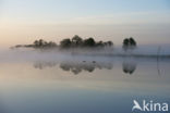 Nieuwkoopse Plassen