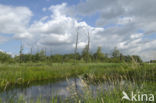 Polder het Oosterland