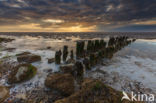 Waddenkust