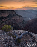 Grand Canyon National Park