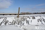 IJssel uiterwaarden