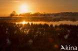 National Park Dwingelderveld
