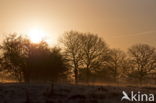 Nationaal Park Dwingelderveld