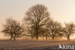 Nationaal Park Dwingelderveld