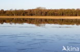 Nationaal park Dwingelderveld