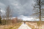 Nationaal Park Dwingelderveld