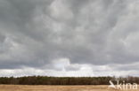 Nationaal Park Dwingelderveld