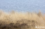 Nationaal Park Dwingelderveld