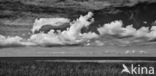 National Park Lauwersmeer