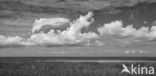 National Park Lauwersmeer