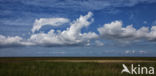 Nationaal Park Lauwersmeer