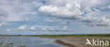 Nationaal Park Lauwersmeer