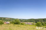 Viroin valley