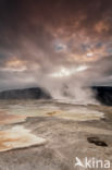 Yellowstone national park