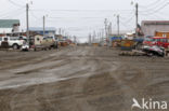 Barrow