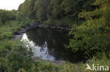 beaver lodge