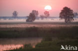 Biebrza National Park