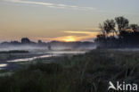 Empese en Tondense Heide