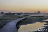 Empese en Tondense Heide