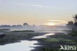 Empese en Tondense Heide