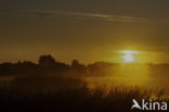 Empese en Tondense Heide