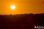 National Park De Hoge Veluwe