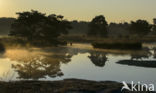 Nationaal Park De Maasduinen