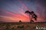 Nationaal Park Drents-Friese Wold