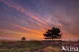 Nationaal Park Drents-Friese Wold