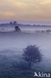 Noordhollands Duinreservaat