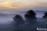 Noordhollands Duinreservaat