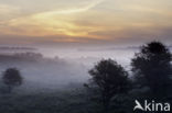 Noordhollands Duinreservaat