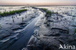 Noordpolder