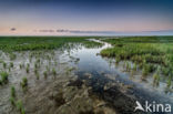 Noordpolder