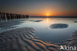 Noordzeestrand