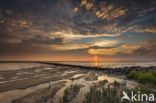 Waddensea