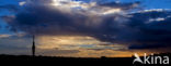 Westerheide