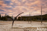 Yellowstone National Park