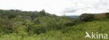 Cordillera Escalera
