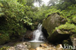 Cordillera Escalera